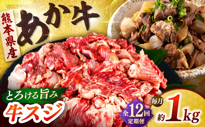 【全12回定期便】熊本あか牛スジ 1kg　 【合同会社　長岡フーズ】 [ZFR048]