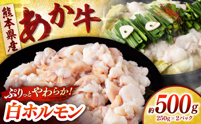 あか牛 白 ホルモン 500g (250g×2P) 【合同会社　長岡フーズ】 [ZFR049]