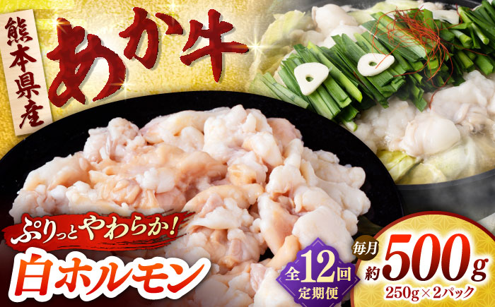 【全12回定期便】あか牛 白 ホルモン 500g (250g×2P) 【合同会社　長岡フーズ】 [ZFR052]