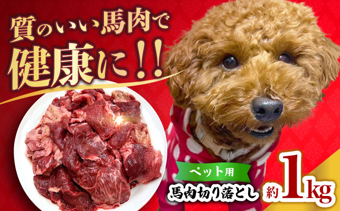 【年内発送は12月21日ご入金分まで！】国内加工 ペット用 馬肉 切り落とし 1kg  【合同会社　長岡フーズ】 [ZFR053]