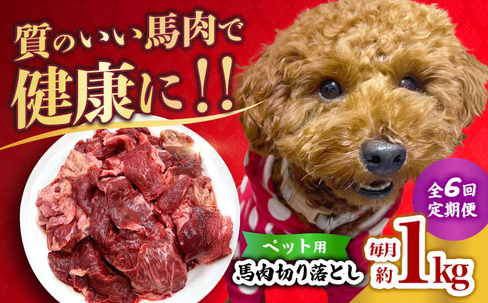 【全6回定期便】国内加工 ペット用 馬肉 切り落とし 1kg  【合同会社　長岡フーズ】 [ZFR055]