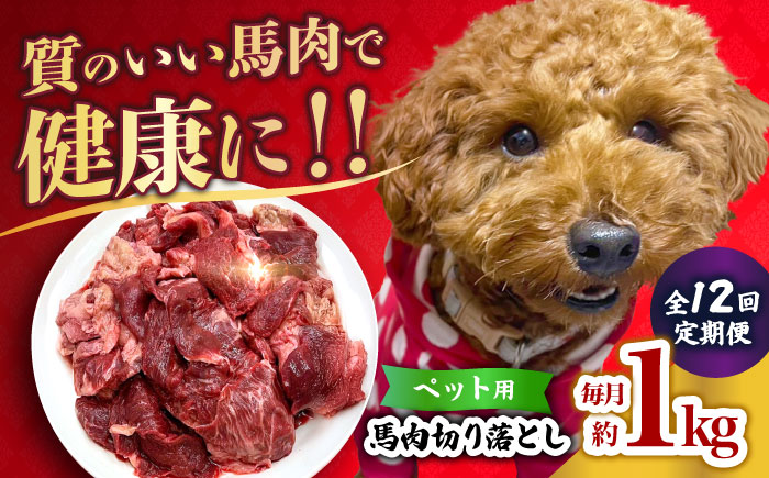 【全12回定期便】国内加工 ペット用 馬肉 切り落とし 1kg  【合同会社　長岡フーズ】 [ZFR056]