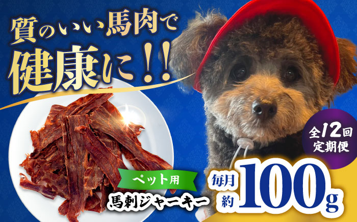 【全12回定期便】ペット用 馬刺しジャーキー 100g(50g×2) 【合同会社　長岡フーズ】 [ZFR064]
