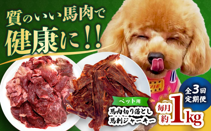 【全3回定期便】詰め合わせ 国内加工 ペット用 馬肉 切り落とし 1kg ペット用 馬刺しジャーキー 100g(50g×2) 【合同会社　長岡フーズ】 [ZFR066]