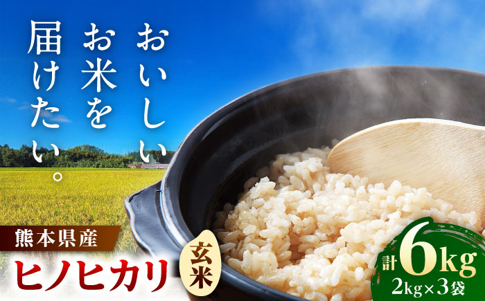 【先行予約】 ヒノヒカリ 玄米 6㎏（2㎏×3袋） 【株式会社 岩下農園】 [ZFS005]