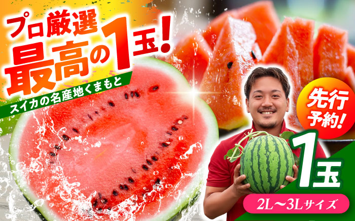 【先行予約】 大玉スイカ！ 2L～3Lサイズ（約7kg～9kg） 厳選 1玉！ すいかの名産地 熊本からお届け 【城野農園】 [ZFV001]