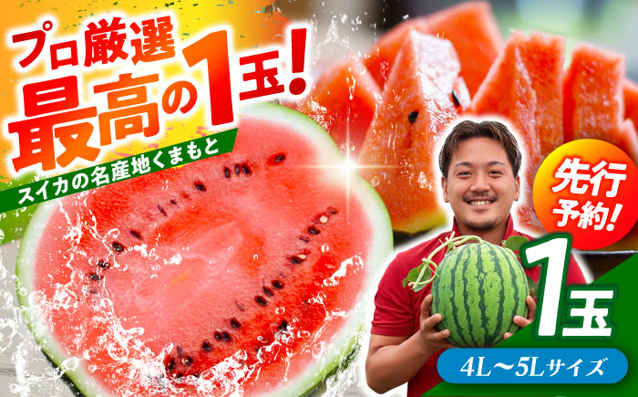 【先行予約】 大玉スイカ！ 4L～5Lサイズ（約9kg～11kg）　厳選 1玉！ すいかの名産地 熊本からお届け 【城野農園】 [ZFV002]