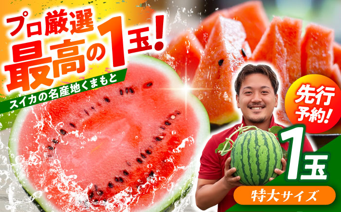 【先行予約】 大玉スイカ！ 特大サイズ（約11kg以上）　厳選 1玉！ すいかの名産地 熊本からお届け 【城野農園】 [ZFV003]