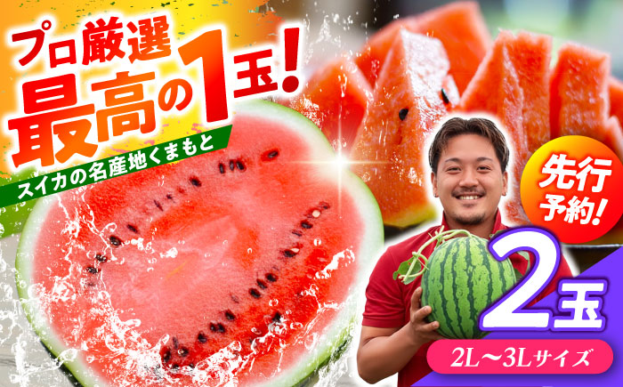 【先行予約】 厳選 2玉！ 大玉スイカ！2L～3Lサイズ（1玉 約7kg～9kg）すいかの名産地 熊本からお届け 【城野農園】 [ZFV004]