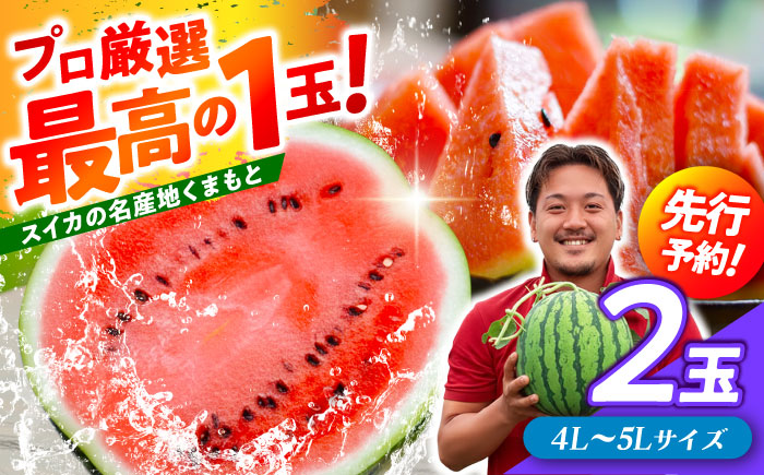 【先行予約】 厳選 2玉！ 大玉スイカ！4L～5Lサイズ（1玉 約9kg～11kg）すいかの名産地 熊本からお届け 【城野農園】 [ZFV005]
