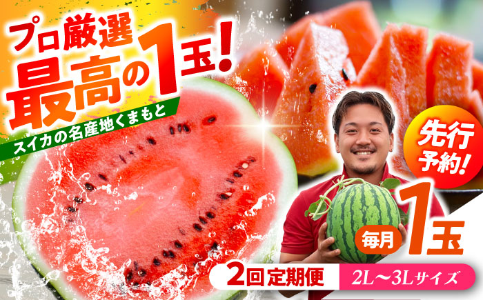 【先行予約】 【2回定期便】 大玉スイカ！2L～3Lサイズ（1玉 約7kg～9kg）　2種類楽しめる！ 1玉入りを2回お届け！ 【城野農園】 [ZFV006]