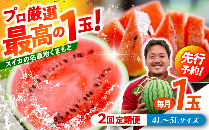 【先行予約】 【2回定期便】 大玉スイカ！4L～5Lサイズ（1玉 約9kg～11kg）　2種類楽しめる！ 1玉入りを2回お届け！ 【城野農園】 [ZFV007]