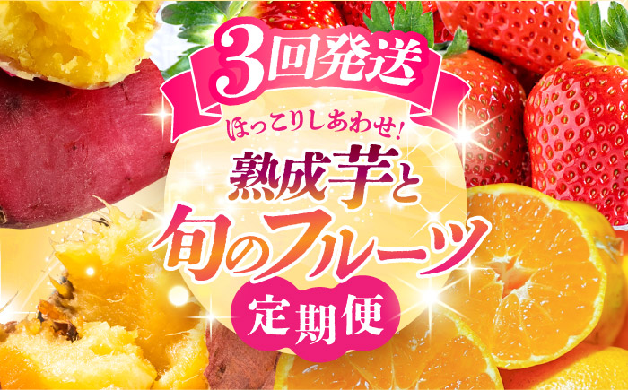 【先行予約】【3回定期便】 ほっこり幸せ！熊本・山鹿のあま～い冬支度　熟成芋と旬のフルーツ さつまいも みかん いちご ご褒美