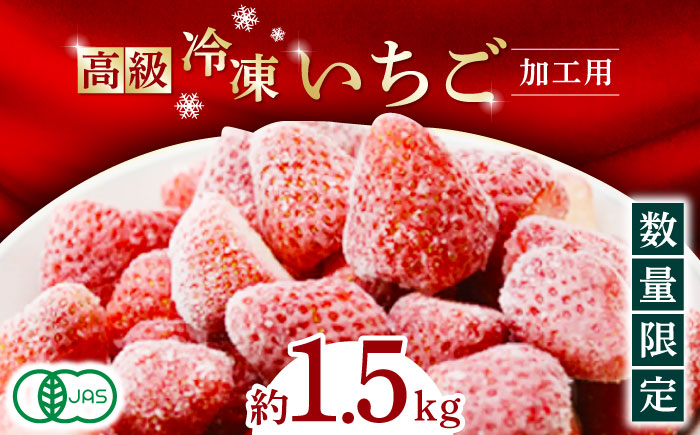 [数量限定]高級 冷凍 いちご 加工用 約1.5kg[伊藤農園] 果物 フルーツ イチゴ いちご 苺 熊本県 