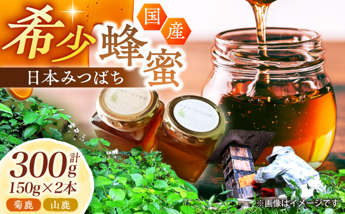 日本みつばち菊鹿・山鹿 計2本セット 【山麓はっち】 [ZBM005]