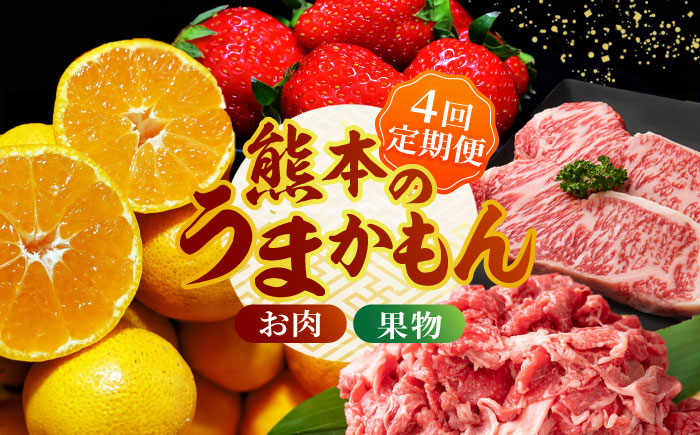 [先行予約][4回定期便]肉と果物 定期便 〜熊本のうまかもん〜 [ZZZ003] フルーツ定期便 果物 くだもの 果物定期便 フルーツ定期 くまもと黒毛和牛 九州産黒毛和牛 ステーキ