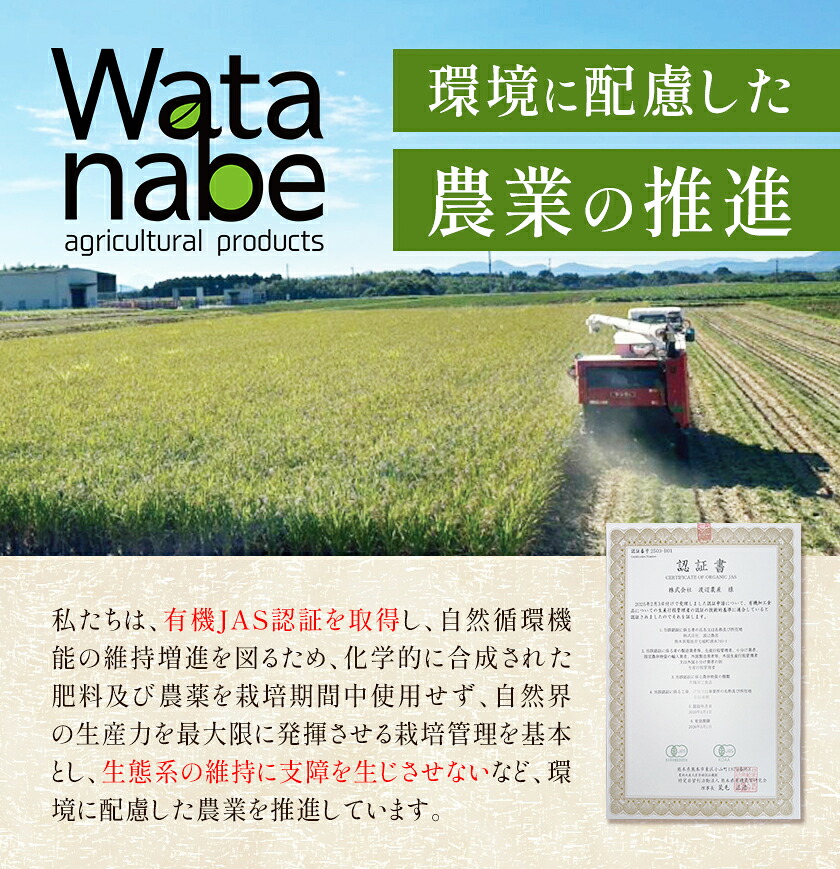 令和7年産 有機JAS 七城産ひのひかり 精米 4kg 《30日以内に出荷予定(土日祝除く)》渡辺農産熊本県 菊池市 米 お米 精米 ひのひかり 菊池市産 熊本県産 九州産 送料無料---171-1912-S---