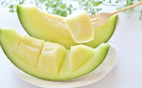 【6月下旬～発送】アールスメロン 2玉（約2kg×2玉）マスクメロン 果物 養生市場st-p