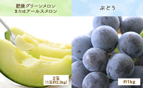 【定期便5回】厳選フルーツ便（メロン ぶどう 梨 柿 いちご）果物 5種 《お申込み月の翌月から出荷開始》 ---003-2425---