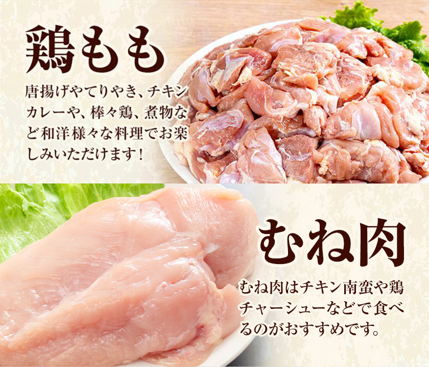 【3ヶ月定期便】 九州産若鶏もも肉（310g×8袋）・むね肉（600g×7袋）セット  鶏肉 お肉 モモ肉 もも肉 ムネ肉 むね肉 2種類 小分け 冷凍 九州産 国産 熊本県 菊池市 送料無料《お申し込みの翌月から出荷》---0146-3119---