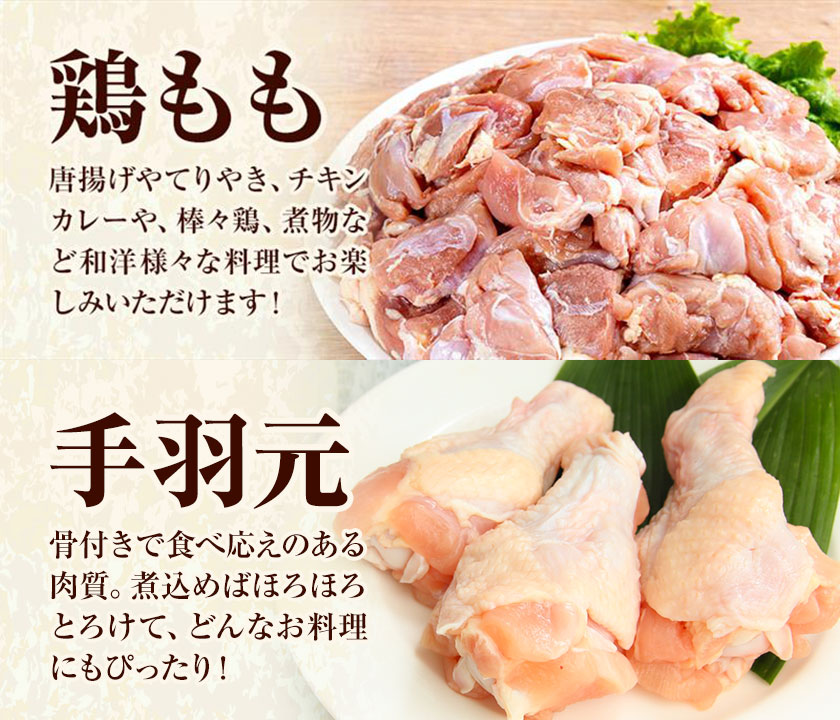 【6ヶ月定期便】 九州産 若鶏もも肉（310g×3袋）・手羽元（500g×5袋）セット 計3.43kg 鶏肉 お肉 モモ肉 もも肉 手羽先 2種類 小分け 冷凍 九州産 国産 熊本県 菊池市 送料無料《お申し込みの翌月から出荷》---0146-3044---