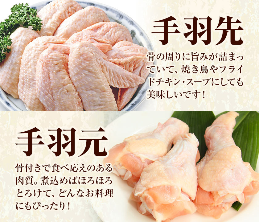 【6ヶ月定期便】 九州産 手羽先（500g×4袋）・手羽元（500g×4袋）セット 計4kg 鶏肉 肉 鶏 手羽 唐揚げ 詰め合わせ セット 冷凍 九州 国産 熊本県 菊池市 送料無料《お申し込みの翌月から出荷》---0146-3083---