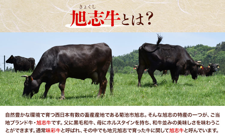 旭志牛 ハンバーグ&メンチカツセット 合計900g 110g×5個 70g×5個 有限会社旭志村ふれあいセンター 《90日以内に出荷予定(土日祝除く)》ハンバーグ メンチカツ セット 牛肉 豚肉 肉 和牛 ブランド牛 惣菜 おかず 冷凍食品 菊池市産 旭志産 冷凍 送料無料---001-1956---
