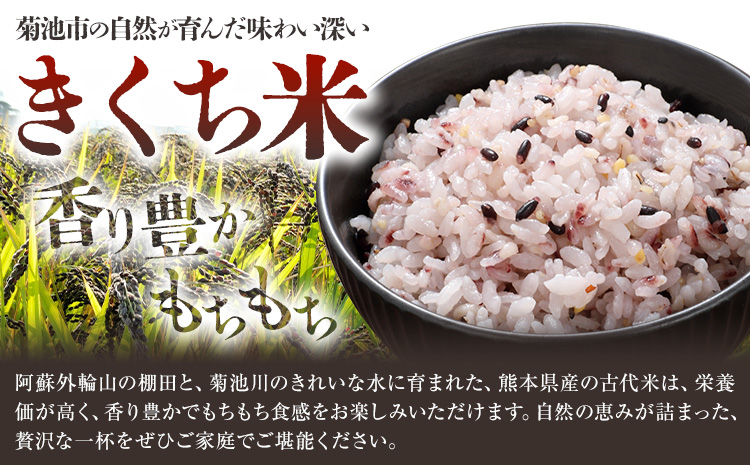 きくち古代米・もち麦 セットA【ファームきくち】 四穀 八穀 500g×1パック もち麦 200g×1パック セット 有限会社七城町特産品センター《90日以内に出荷予定(土日祝除く)》熊本県 菊池市 雑穀米 お米 米 もち麦 菊池市産 熊本県産 九州産---003-0473---