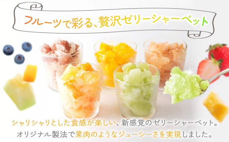 ゼリーシャーベット 15個セット(5種類×各3個) 道の駅七城メロンドーム《30日以内に出荷予定(土日祝除く)》メロン いちご マンゴー ブルーベリー シャーベット 洋菓子 お菓子 おやつ ゼリーシャーベット 送料無料---003-1071---