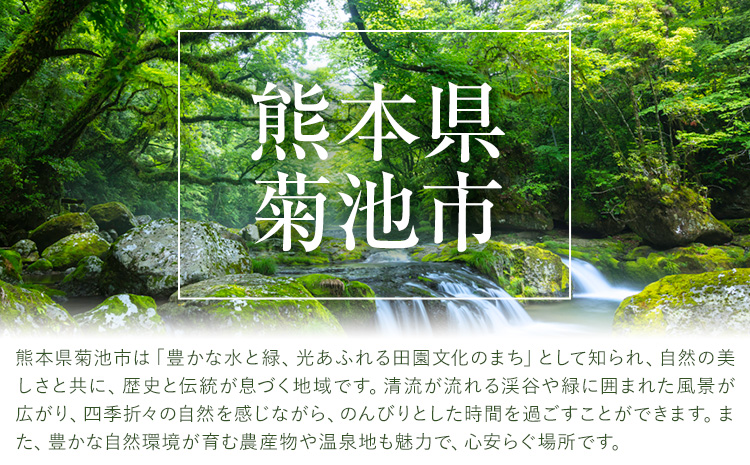 レモンケーキ 15個入り【養生市場】合計約750g 有限会社七城町特産品センター《90日以内に出荷予定(土日祝除く)》熊本県 菊池市 レモン ケーキ 檸檬ケーキ レモンチョコ おかし お菓子 デザート スイーツ おやつ---003-1162---