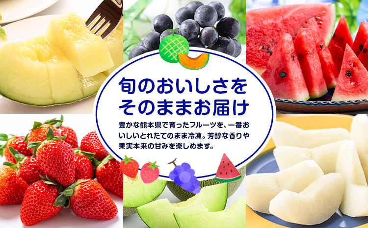 フローズンフルーツ 約80g～150g入り×8袋 種類おまかせ ランダム 有限会社七城町特産品センター《90日以内に出荷予定(土日祝除く)》熊本県 菊池市 冷凍フルーツ 果物 フルーツ 国産 冷凍 フローズン---003-1420---
