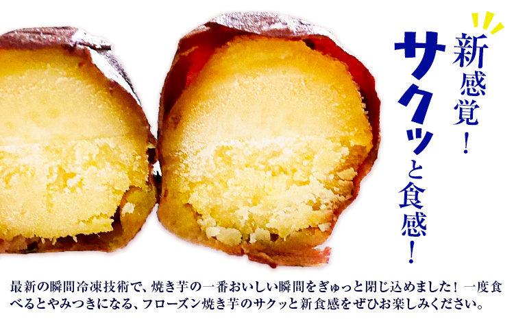 フローズン焼き芋 約200g×8袋セット 合計約1.6kg 有限会社七城町特産品センター《90日以内に出荷予定(土日祝除く)》熊本県 菊池市 冷凍焼きいも 焼き芋 からいも さつまいも冷凍---003-1421---