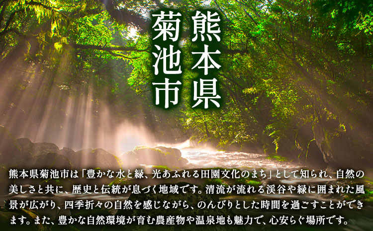 馬刺し 肩ロースと霜降りセット 2種類 合計400g 肩ロース 100g×2パック 霜降り 100g×2パック 有限会社七城町特産品センター《90日以内に出荷予定(土日祝除く)》熊本県 菊池市 肉 馬肉 セット 食べ比べ ブロック 送料無料---003-1486---