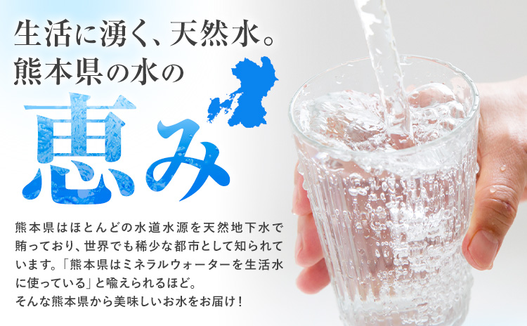 水 シリカ水 500ml × 24本 有限会社七城町特産品センター メロンドーム 《30日以内に出荷予定(土日祝除く)》 熊本県 菊池市 水 軟水 飲料 ドリンク 清涼飲料水 天然地下水 ペットボトル ミネラルウォーター 定期便 送料無料---003-1494---