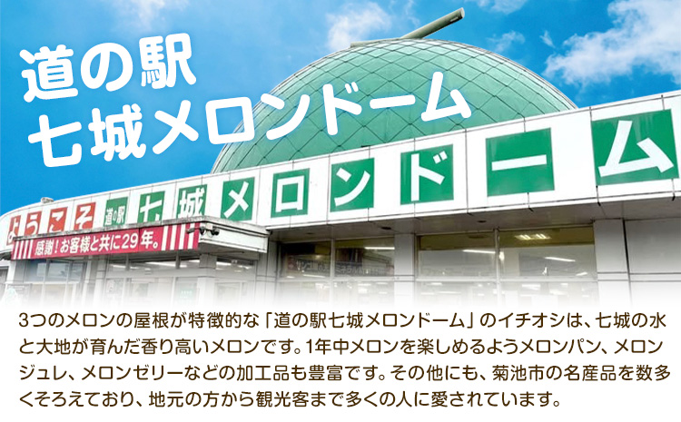 【先行予約】厳選 熊本県産のぶどうセット 約1kg 品種おまかせ ブラックビート ピオーネ 巨峰 【メロンドーム】 有限会社七城町特産品センター《2026年8月頃から出荷》熊本県 菊池市 果物 フルーツ ぶどう ブドウ 葡萄 セット 食べ比べ 熊本県産 送料無料---003-1567---