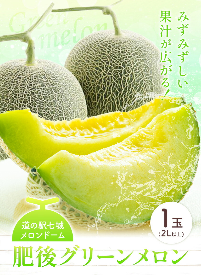 肥後グリーンメロン 1玉 2L以上【メロンドーム】 メロン 果物 フルーツ 九州産 熊本県産 送料無料【2026年5月中旬頃より出荷】【先行予約】---003-1568---