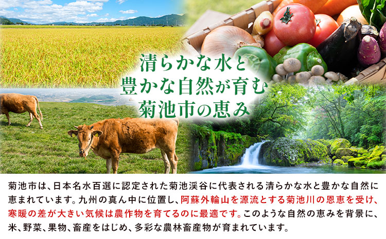 【先行予約】厳選すいか 2玉(1玉あたり8-9kg) 道の駅七城メロンドーム《5月中旬-6月中旬頃出荷》品種おまかせ ランダム 肥後漫遊 味で勝負iS 祭りばやし 果物 フルーツ スイカ 西瓜 九州産 熊本県産 送料無料---003-1575--