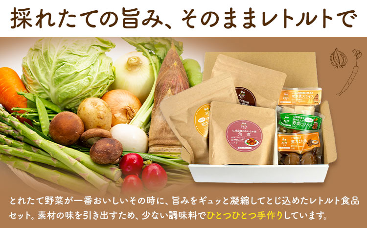 オリジナルレトルト6種セット 炊き込みご飯の素 豚角煮 ピクルス たけのこ 水煮 煮たまご【メロンドーム】 有限会社七城町特産品センター《30日以内に出荷予定(土日祝除く)》熊本県 菊池市 詰め合わせ セット 保存食 非常食 長期保存 送料無料---003-2410---