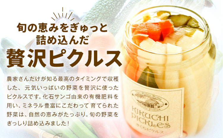 ピクルス 小瓶 6本セット 【メロンドーム】  ピクルス 野菜 酢漬け 漬物 おつまみ 旬の野菜 《30日以内に出荷予定(土日祝除く)》---003-2412---