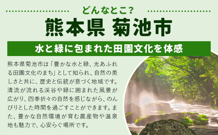 旬の野菜とたまごのセットメロンドーム 野菜 卵 にんにくたまご 卵 詰め合わせ 5ヶ月 定期便 有限会社七城町特産品センター《お申し込みの翌月から出荷》熊本県 菊池市 セット 新鮮 国産 九州産 熊本県 菊池市 道の駅 旬---003-2420---