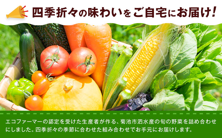 旬の野菜 定期便 計6回 旬の野菜 10品【養生市場】定期便 品種おまかせ ランダム 6ヶ月お届け 計6回 詰め合わせ セット 野菜 九州産 熊本県産《お申し込みの翌月から出荷》---003-2422---