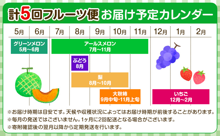 【定期便5回】 厳選 フルーツ 便 ( メロン ぶどう 梨 柿 いちご ) 葡萄 ブドウ ナシ なし かき 太秋柿 イチゴ 苺 果物 くだもの セット 詰め合わせ 定期便 《お申し込みの翌月から出荷》---003-2425---