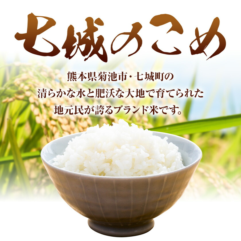【5ヶ月定期便】令和7年産 七城のこめ 精米 5kg×2袋/月×5回 計50kg ヒノヒカリ ひのひかり 有限会社七城町特産品センター 《お申し込み月の翌月から出荷開始》 熊本県 菊池市 定期便 お米 米 白米 九州産 熊本県産---003-0297---