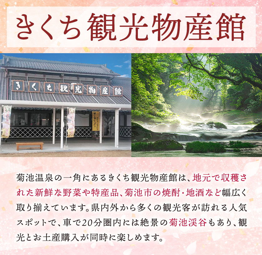 菊芋チップス セット 5袋 40g×5袋 合計 200g チップス 有限会社きくち観光物産館 《90日以内に出荷予定(土日祝除く)》熊本県 菊池市 お菓子 おつまみ おやつ きくいも 菊芋 健康 セット 送料無料---004-0407---