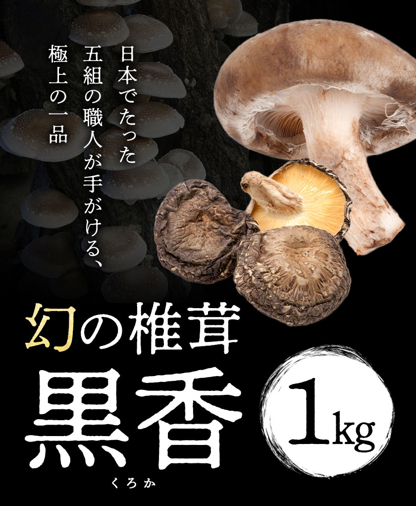 しいたけ 幻の椎茸 黒香 1kg 有限会社きくち観光物産館 《90日以内に出荷予定(土日祝除く)》熊本県 菊池市 希少品種 乾燥椎茸 小粒 ジャミ バレ しいたけ きのこ ご家庭用 規格外品 訳あり 送料無料---004-2268---