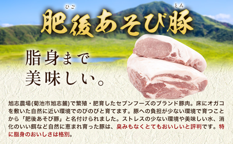 肥後あそび豚 骨付き スペアリブ 800g×2パック 合計1.6kg 株式会社さつま屋産業 ぶた ブタ 豚肉 肉 ブランド豚 骨付き肉 スペアリブ 国産 九州産 熊本県産 菊池市産 冷凍 送料無料 《90日以内に出荷予定(土日祝除く)》---015-1979---