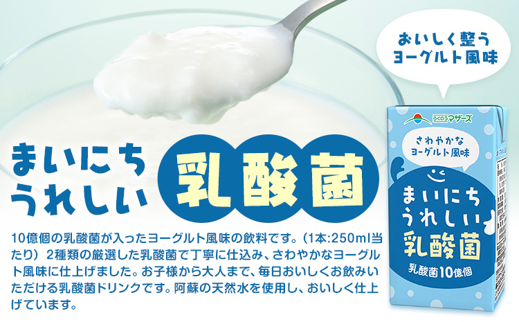 常温保存可能 まいにちうれしい 乳酸菌 ヨーグルト風味 250ml×24本 合同会社たべたせいか《30日以内に出荷予定(土日祝除く)》熊本県 菊池市 紙パック ヨーグルト飲料 乳酸菌 ドリンク 飲み物 飲料 常温保存 国産 熊本県産 ---016-1506---