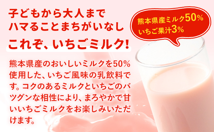 常温保存可能 いちご 【1回】250ml×24本 合同会社たべたせいか《30日以内に出荷予定(土日祝除く)》 いちごミルク いちご果汁 苺 イチゴ 牛乳 乳飲料 ジュース ドリンク 熊本県産 国産 九州 熊本県 菊池市 送料無料---016-1507---