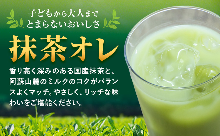 【12ヶ月定期便】250ml×24本／月×12回（計288本） 抹茶・オ・レ 合同会社たべたせいか《お申し込みの翌月から出荷》 抹茶オーレ 抹茶オレ 抹茶ミルク 抹茶 抹茶 乳製品 乳飲料 クロレラ 飲み物 飲料 常温保存 お取り寄せ 国産抹茶 熊本県産 菊池市 送料無料---0016-3163---