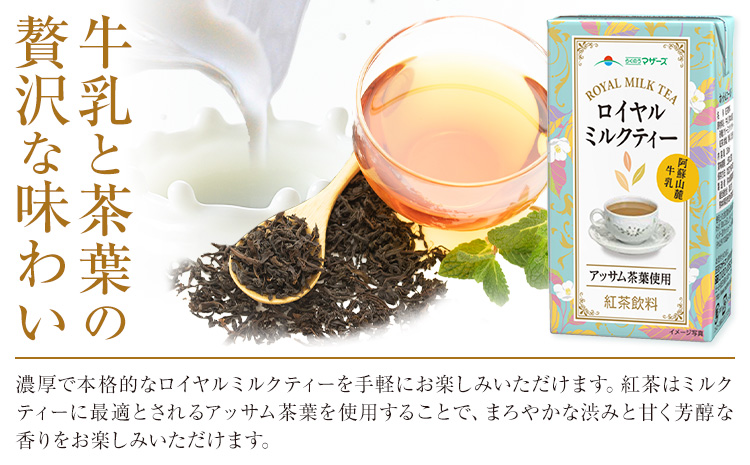 常温保存可能 ロイヤルミルクティー 250ml × 24本 1ケース 合同会社たべたせいか《30日以内に出荷予定(土日祝除く)》熊本県 菊池市 紅茶 ミルクティー らくのうマザーズ ドリンク 飲み物 飲料 セット 紙パック 常温保存可能 ロングライフ 熊本県産---016-1517---